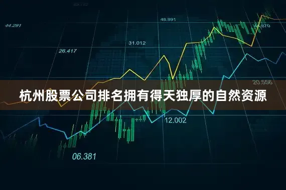 杭州股票公司排名拥有得天独厚的自然资源