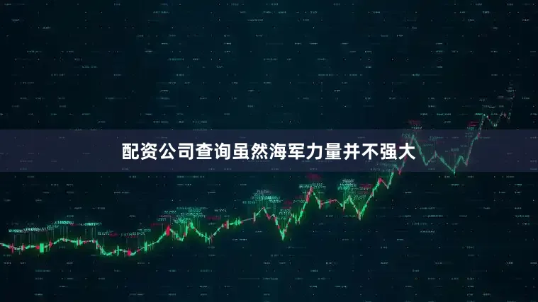 配资公司查询虽然海军力量并不强大