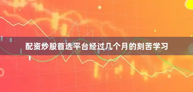 配资炒股首选平台经过几个月的刻苦学习